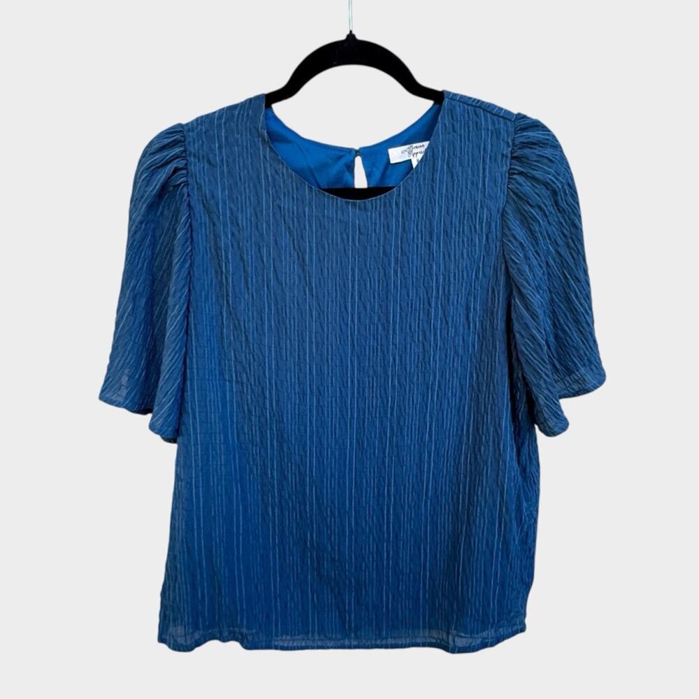 NEW Beacon Apparel x Stitch Fix Textured Blue Blouse, Medium